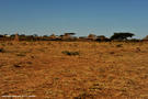 10-borana-village-ethiopia