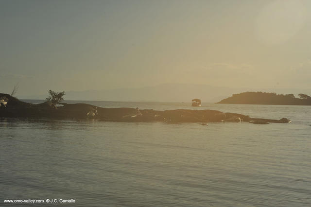 11-cocodriles-chamo-lake-ethiopia