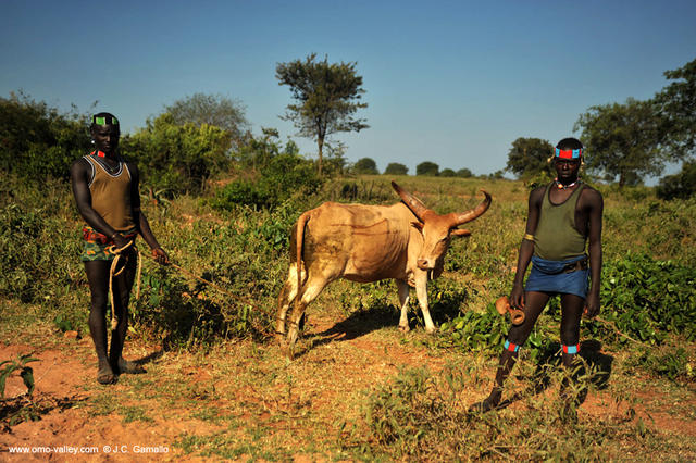 13-dimeka-market-omo-valley-hamer