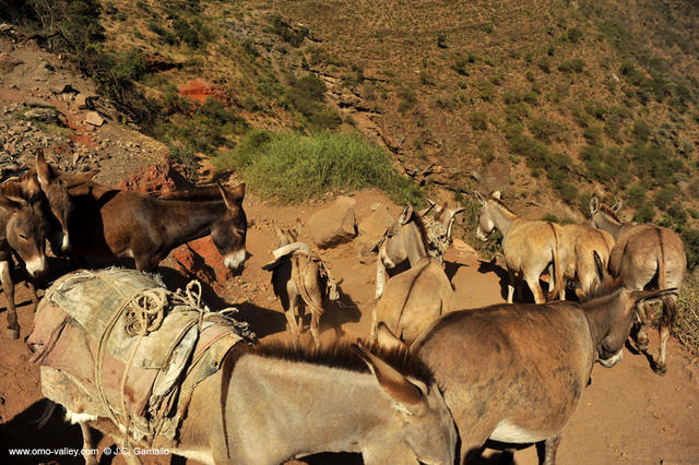 13-el-sod-borana-salt-cratrer-vulcano-ethiopia 13-el-sod-borana-salt-cratrer-vulcano-ethiopia