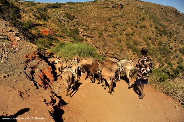14-el-sod-borana-salt-cratrer-vulcano-ethiopia 14-el-sod-borana-salt-cratrer-vulcano-ethiopia