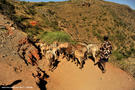 14-el-sod-borana-salt-cratrer-vulcano-ethiopia