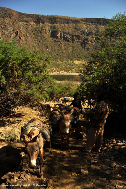 19-el-sod-borana-salt-cratrer-vulcano-ethiopia 19-el-sod-borana-salt-cratrer-vulcano-ethiopia