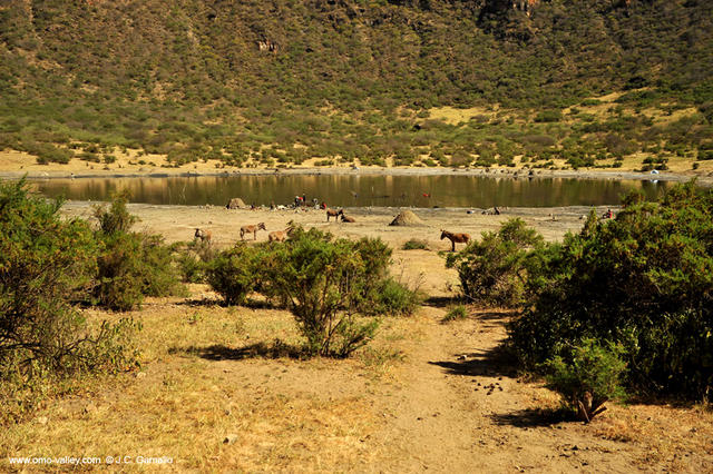 20-el-sod-borana-salt-cratrer-vulcano-ethiopia 20-el-sod-borana-salt-cratrer-vulcano-ethiopia