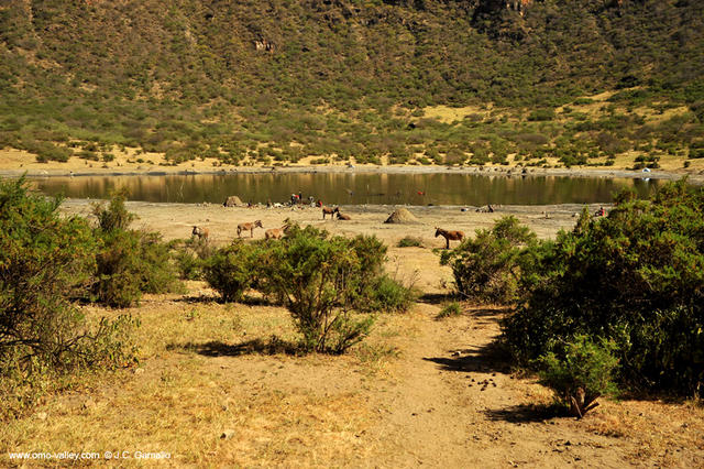 20-el-sod-borana-salt-cratrer-vulcano-ethiopia