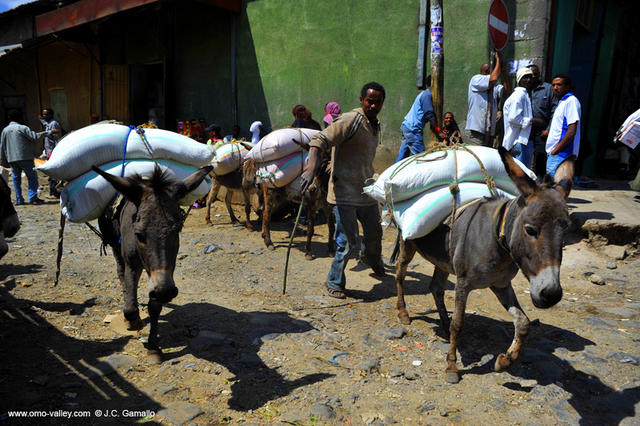 28-addis-ababa-merkato