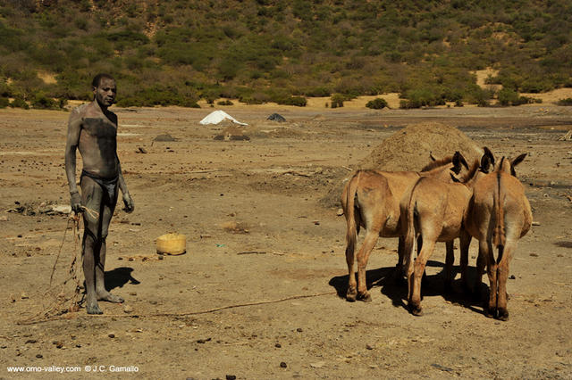 35-el-sod-sal-borana-crater-volcan-etiopia 35-el-sod-sal-borana-crater-volcan-etiopia