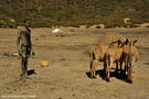 35-el-sod-sal-borana-crater-volcan-etiopia