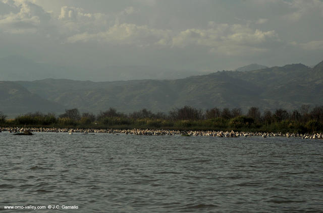 8-viajar-lago-chamo-arba-minch