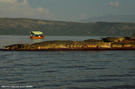 9-cocodrilos-lago-chamo-etiopia