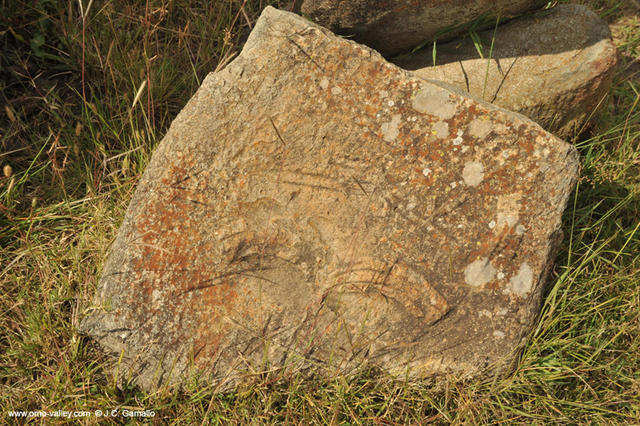 Estelas de Tiya. Etiopia